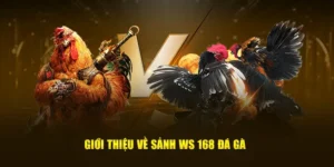 Bí Quyết Chơi Đá Gà WS168 Tại 58Win Chinh Phục Mọi Kèo Cược 1 Bí Quyết Chơi Đá Gà WS168 Tại 58Win Chinh Phục Mọi Kèo Cược