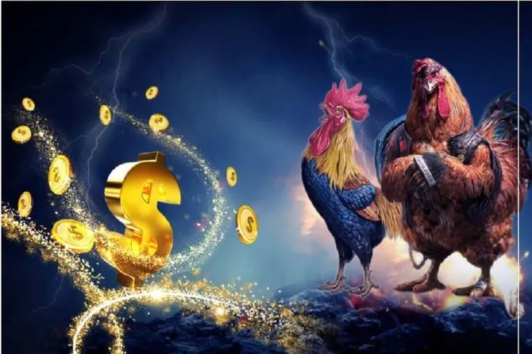 Đá Gà 58Win Đấu Trường Kịch Tính Bậc Nhất Châu Á 2025