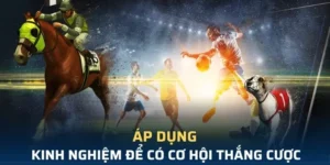 Giải Mã Sức Hút Cá Cược Thể Thao Ảo 58Win Công Nghệ Đỉnh Cao 3 Giải Mã Sức Hút Cá Cược Thể Thao Ảo 58Win Công Nghệ Đỉnh Cao